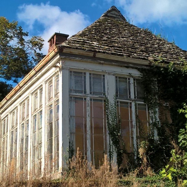 Pitchford Orangery before restoration 1.jpeg