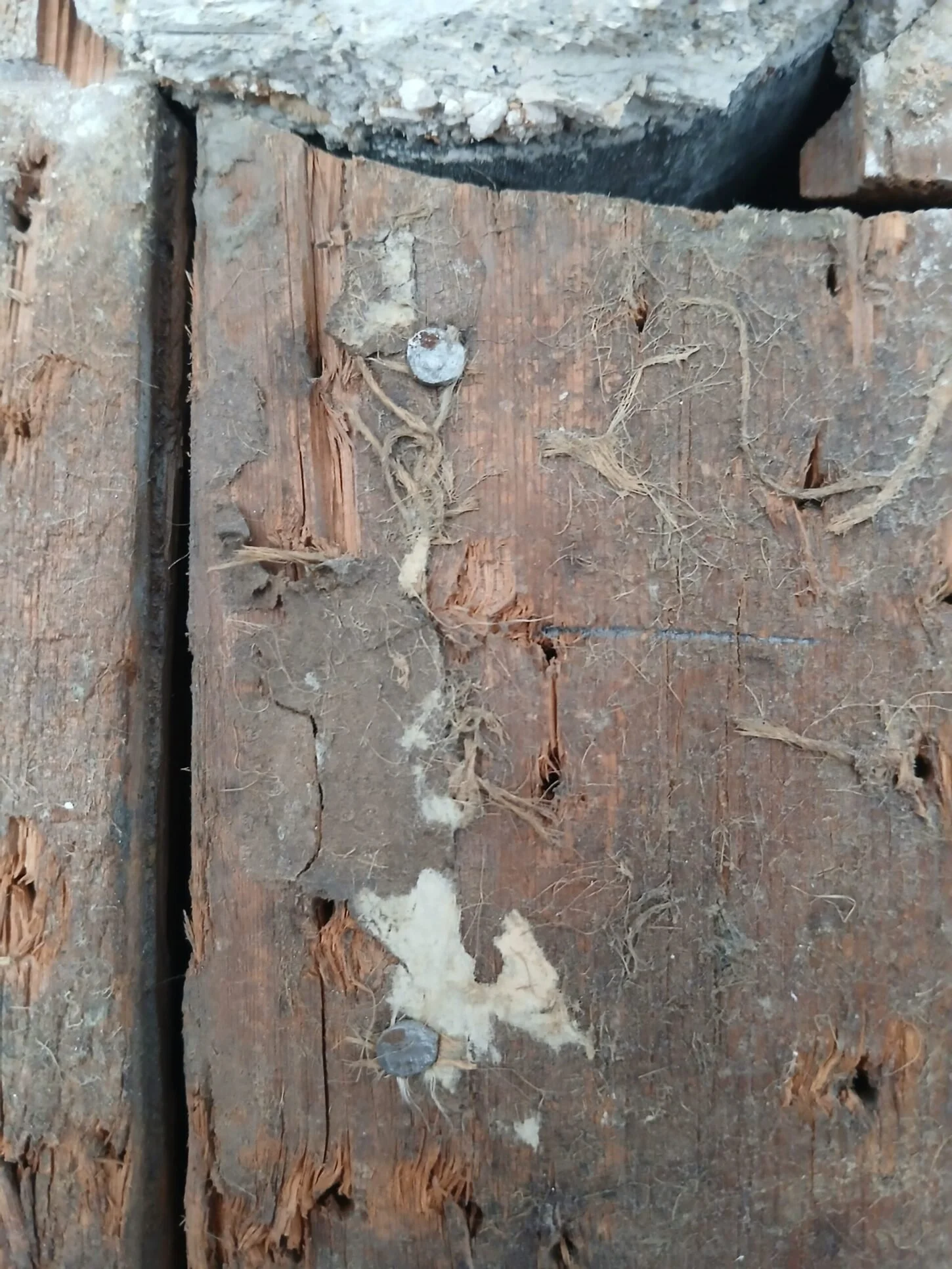 Original fabric threads on the walls of the Sunne Room.jpeg