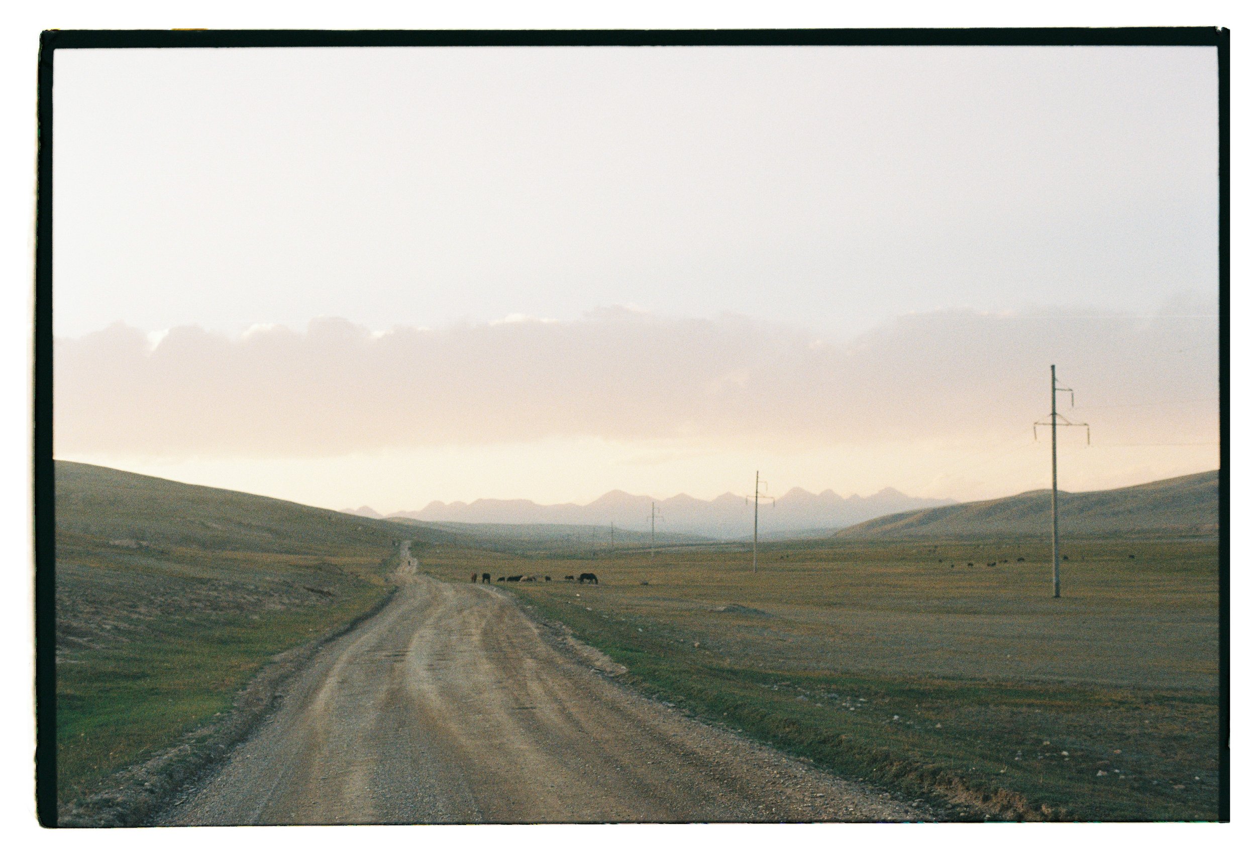 Sami Sauri-21.jpg