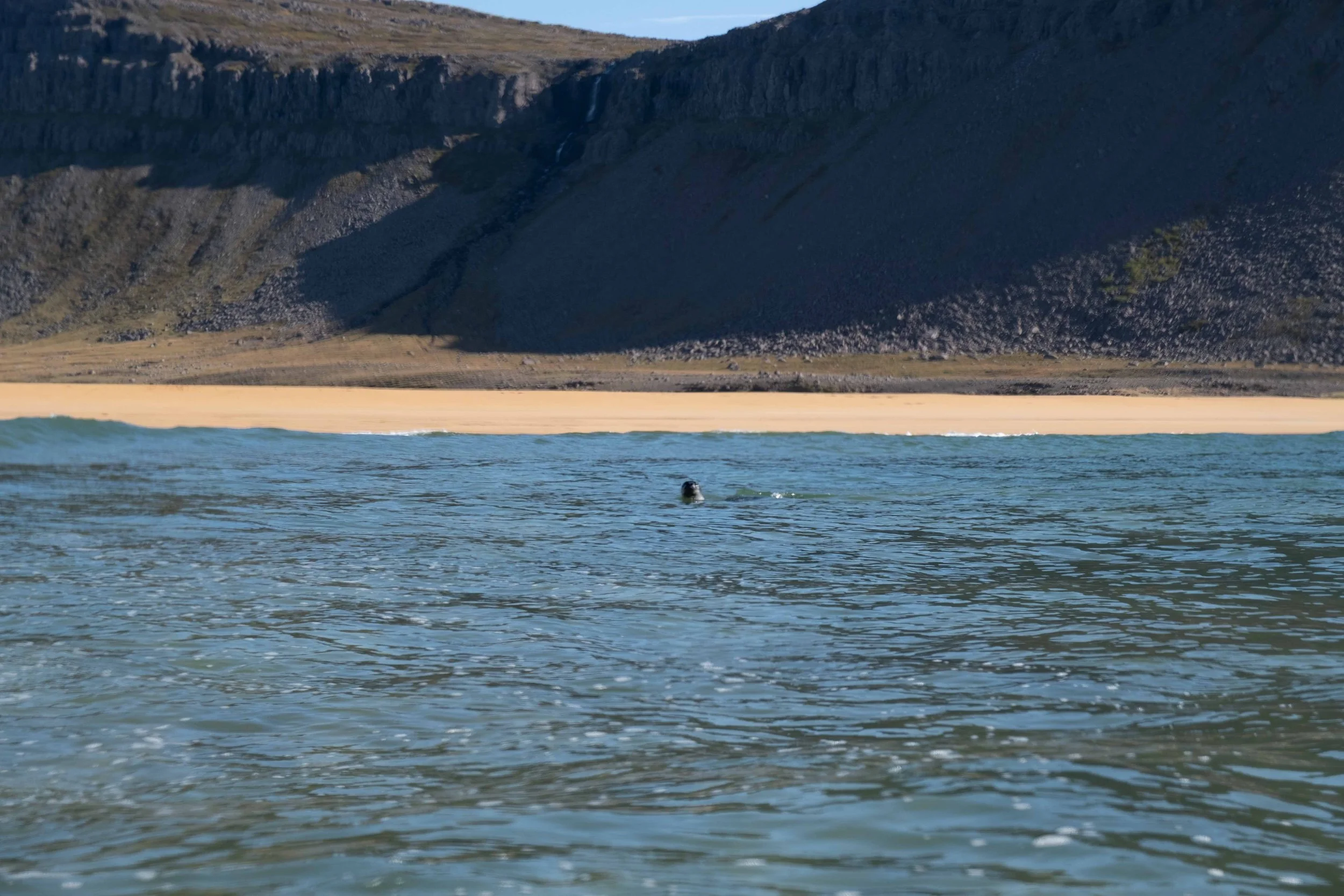 _DSF0199.jpg