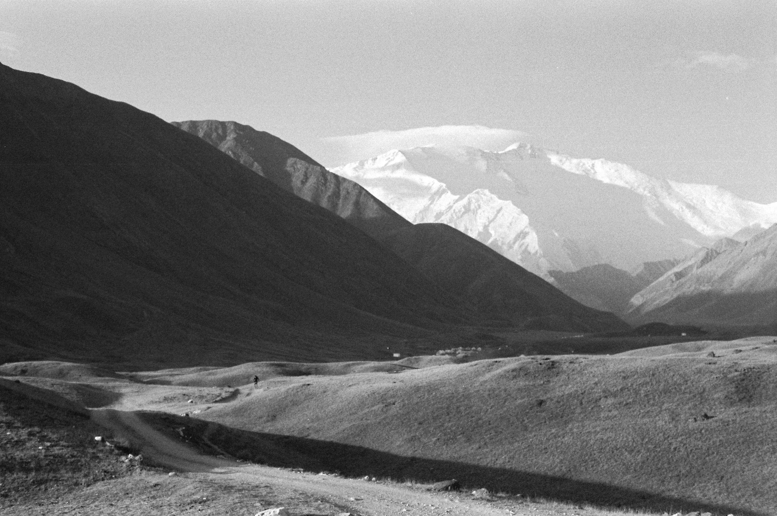 Sami Sauri-156.jpg