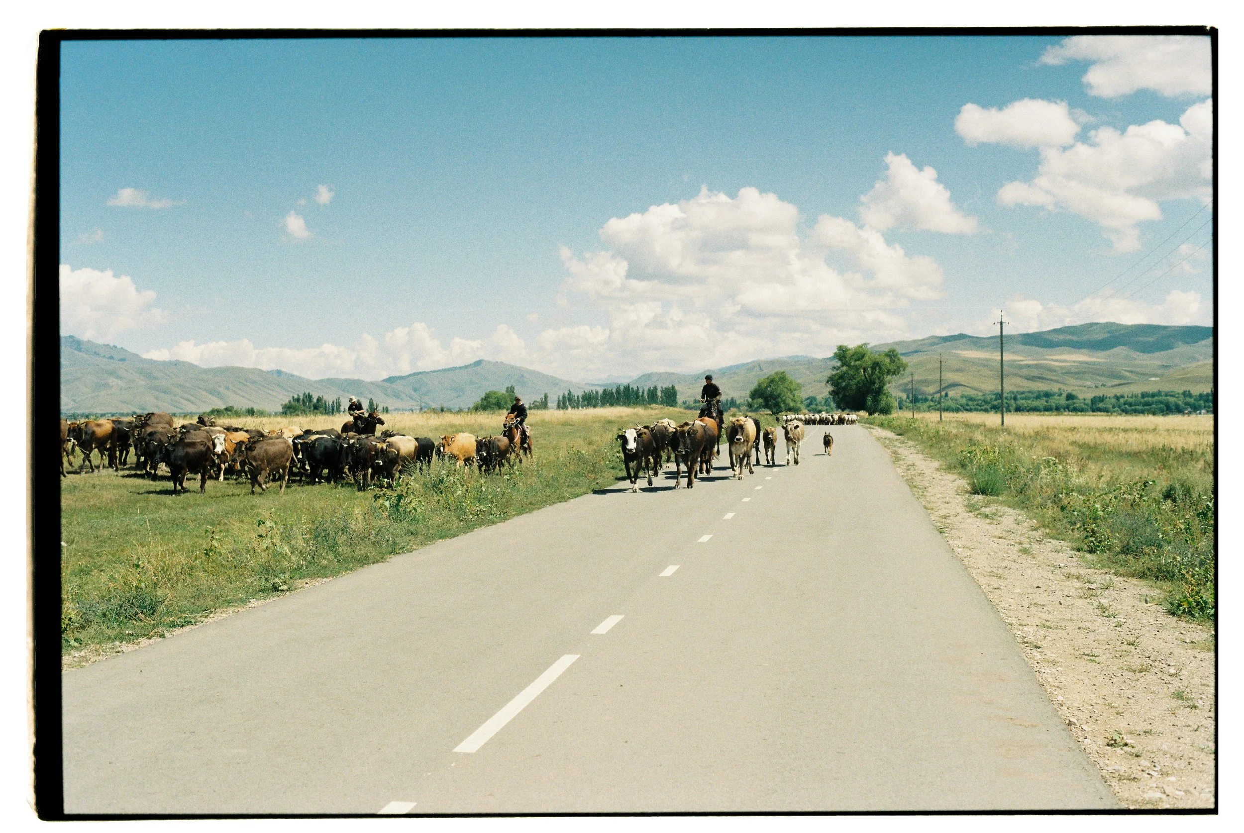 Sami Sauri-32.jpg