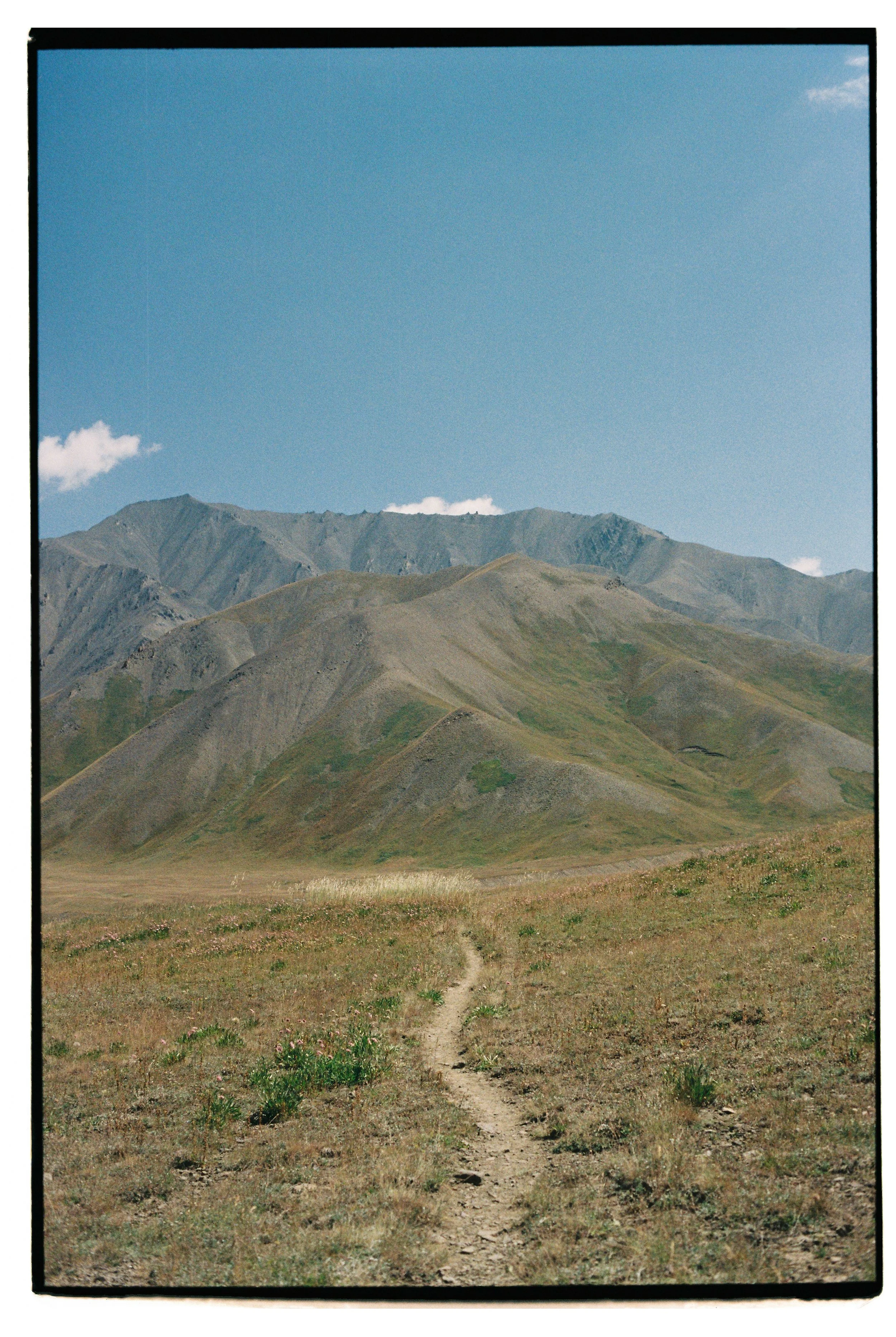 Sami Sauri-3.jpg