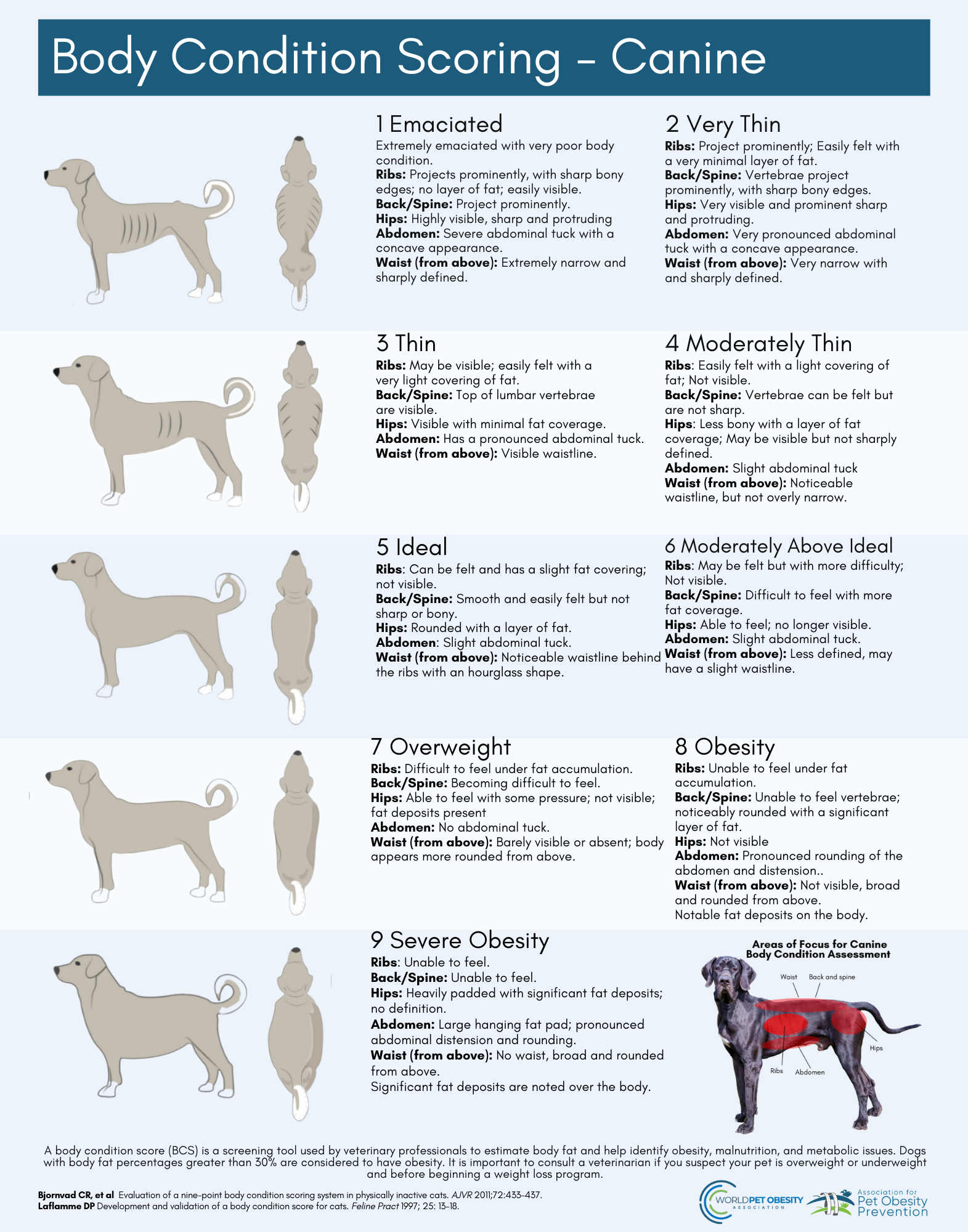 Dog Body Condition Scoring Association For Pet Obesity Prevention