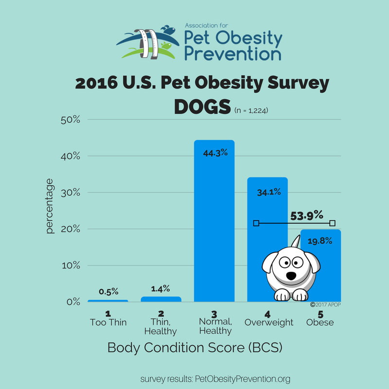 2016+US+Dog+BCS+Results+Infographic.png