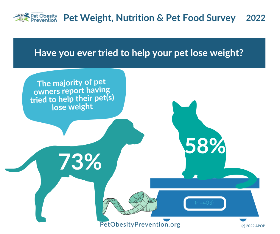 Coronavirus Leads to Rise In Pet Obesity - Dogtopia