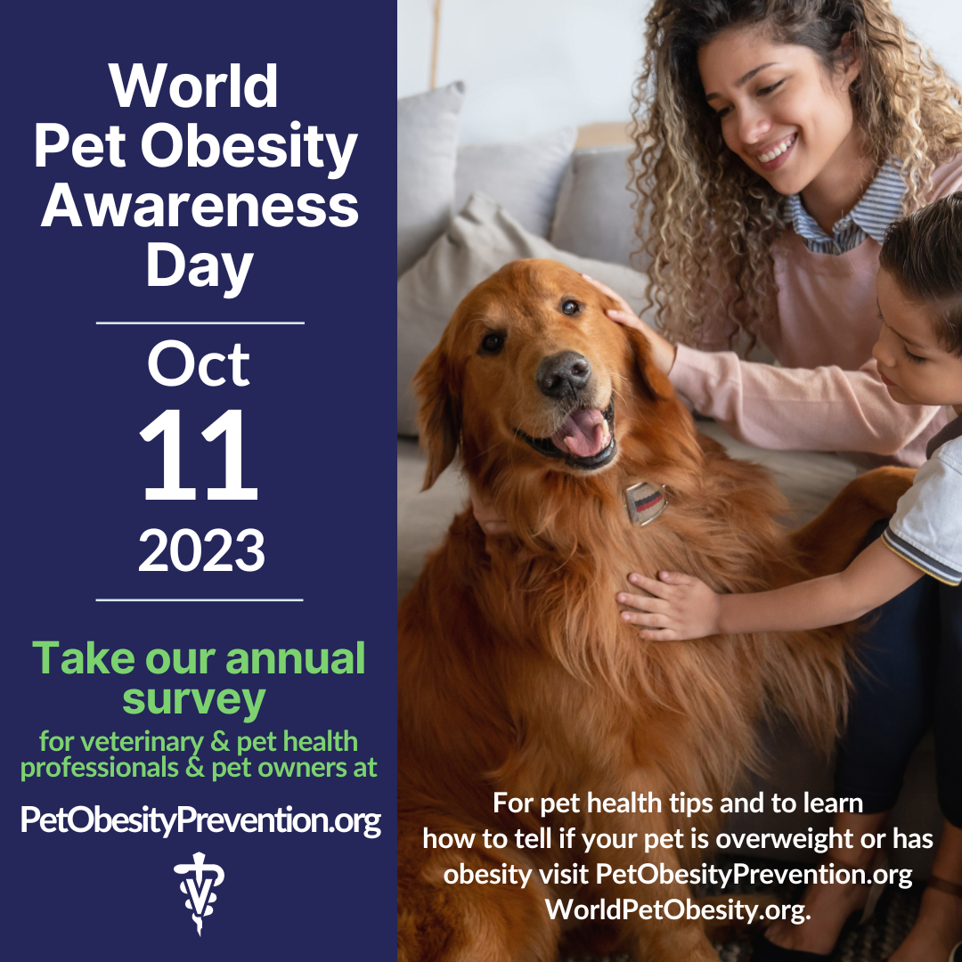 Articles — Association for Pet Obesity Prevention