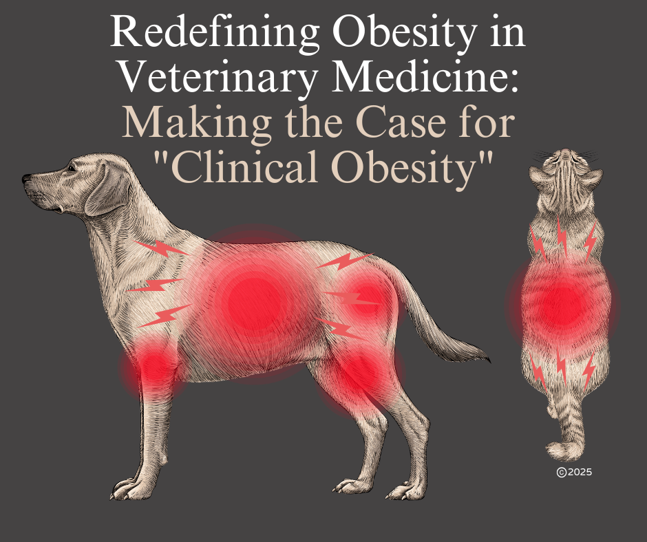 Pet Obesity Articles & News — APOP — Association for Pet Obesity Prevention