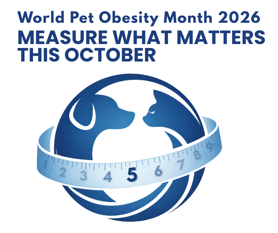 Health Connects Us All: Preparing for the 2026 Global Prevalence Study