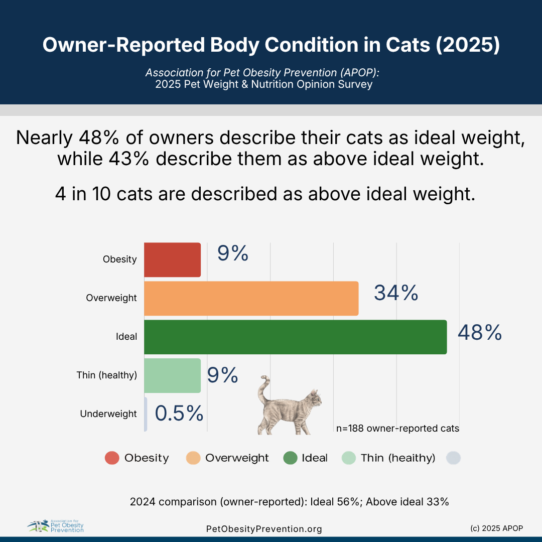 Chart titled 'Owner-Reported Body Condition in Cats (2025)' showing percentages of cats in different body condition categories: 48% ideal, 34% overweight, 9% obesity, 9% thin (healthy), and 0.5% underweight, with a small image of a cat and a note about comparison to 2024 data.