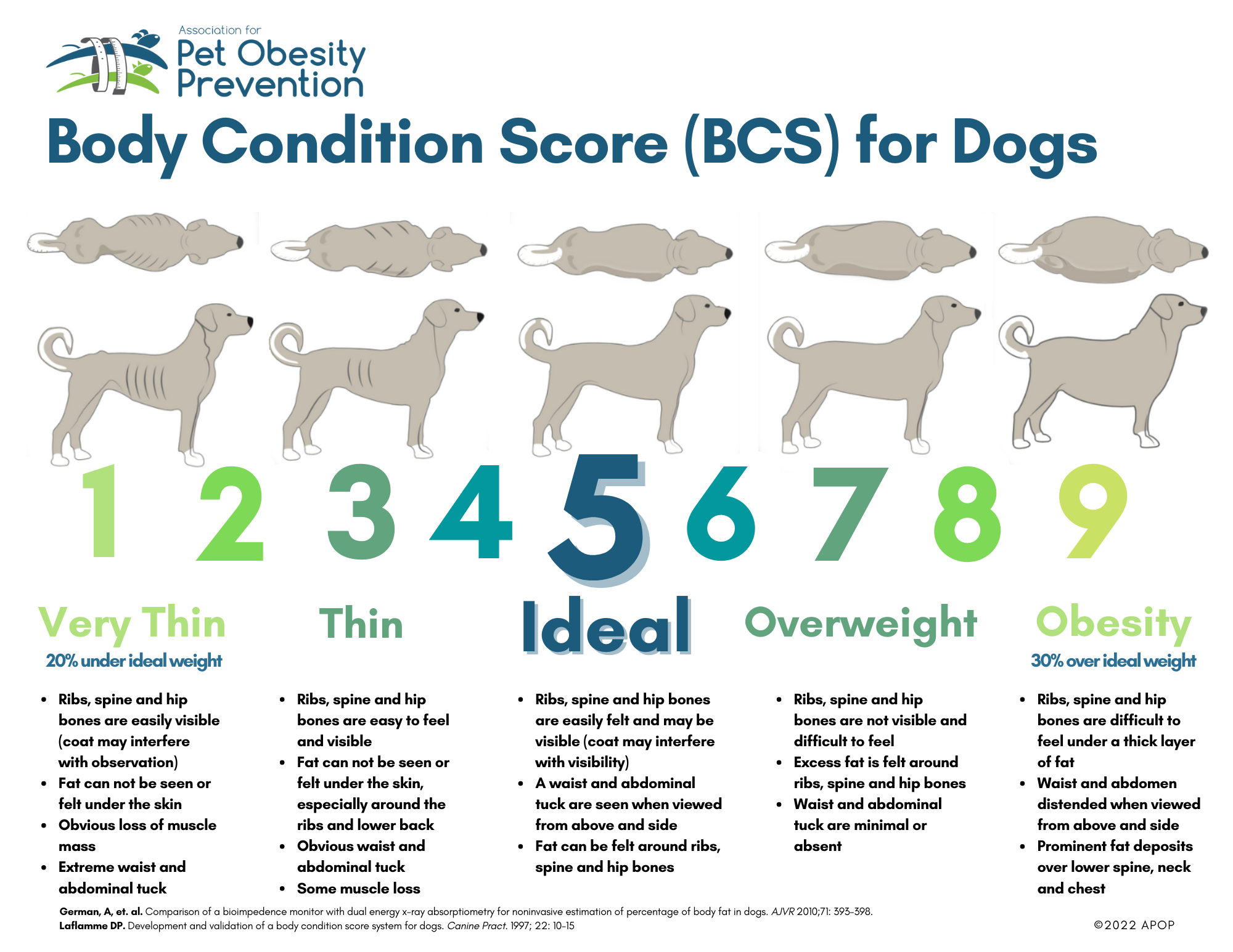 Pet Body Condition Scoring — Association for Pet Obesity Prevention