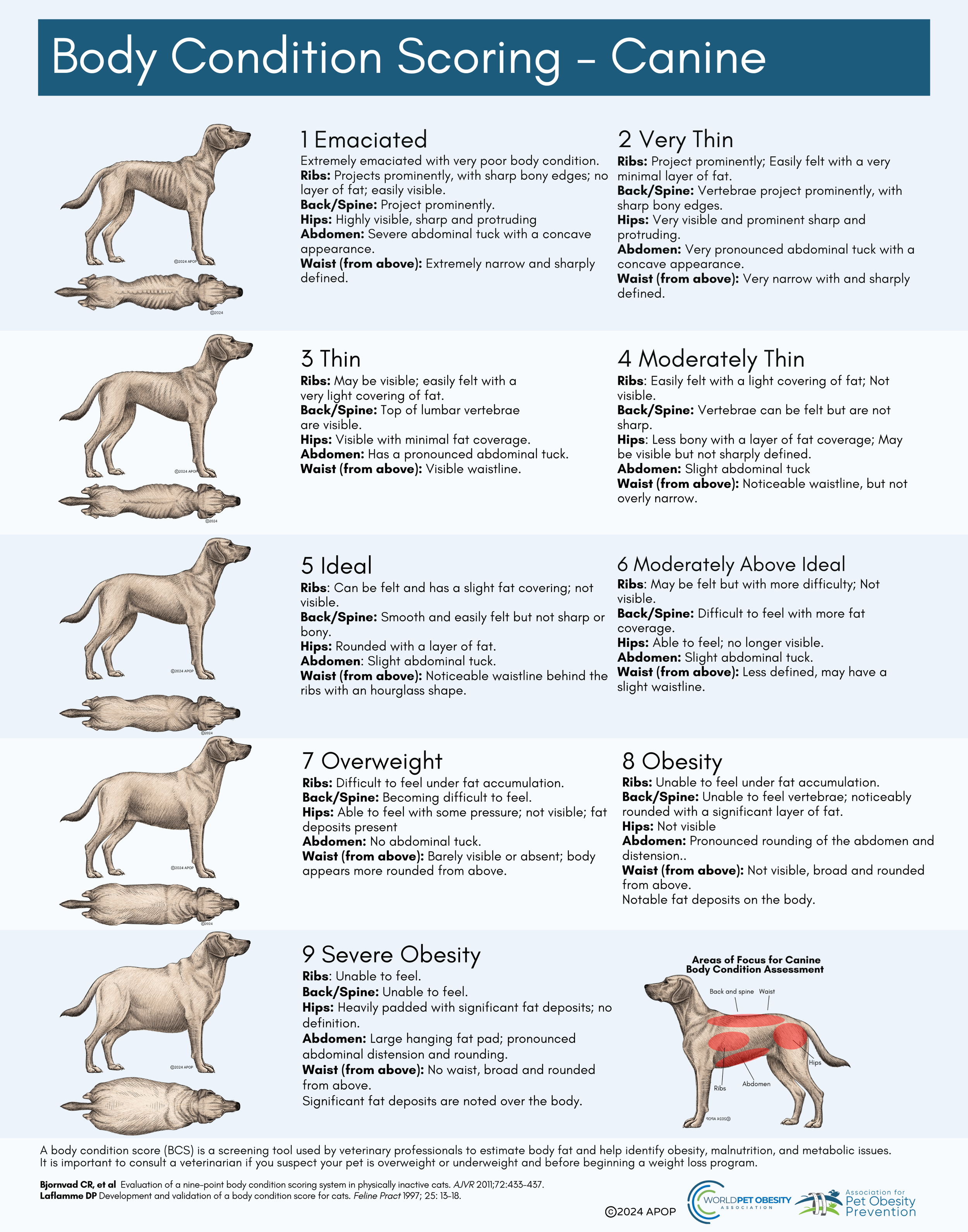 Body Condition Score (BCS) Charts for Dogs, Cats, Rabbits & Horses ...