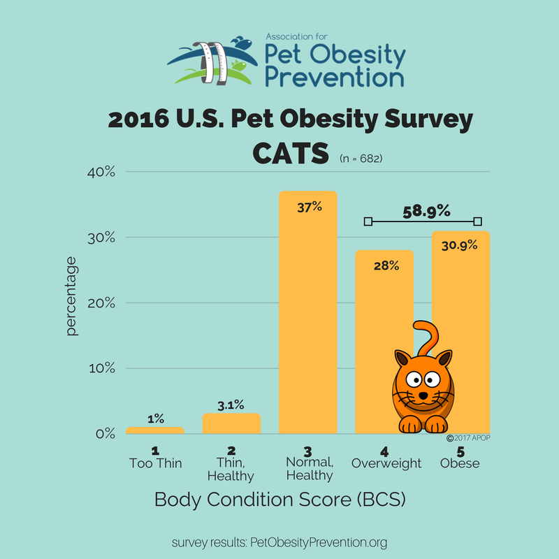 2016+US+Cat+BCS+Results+Infographic.png