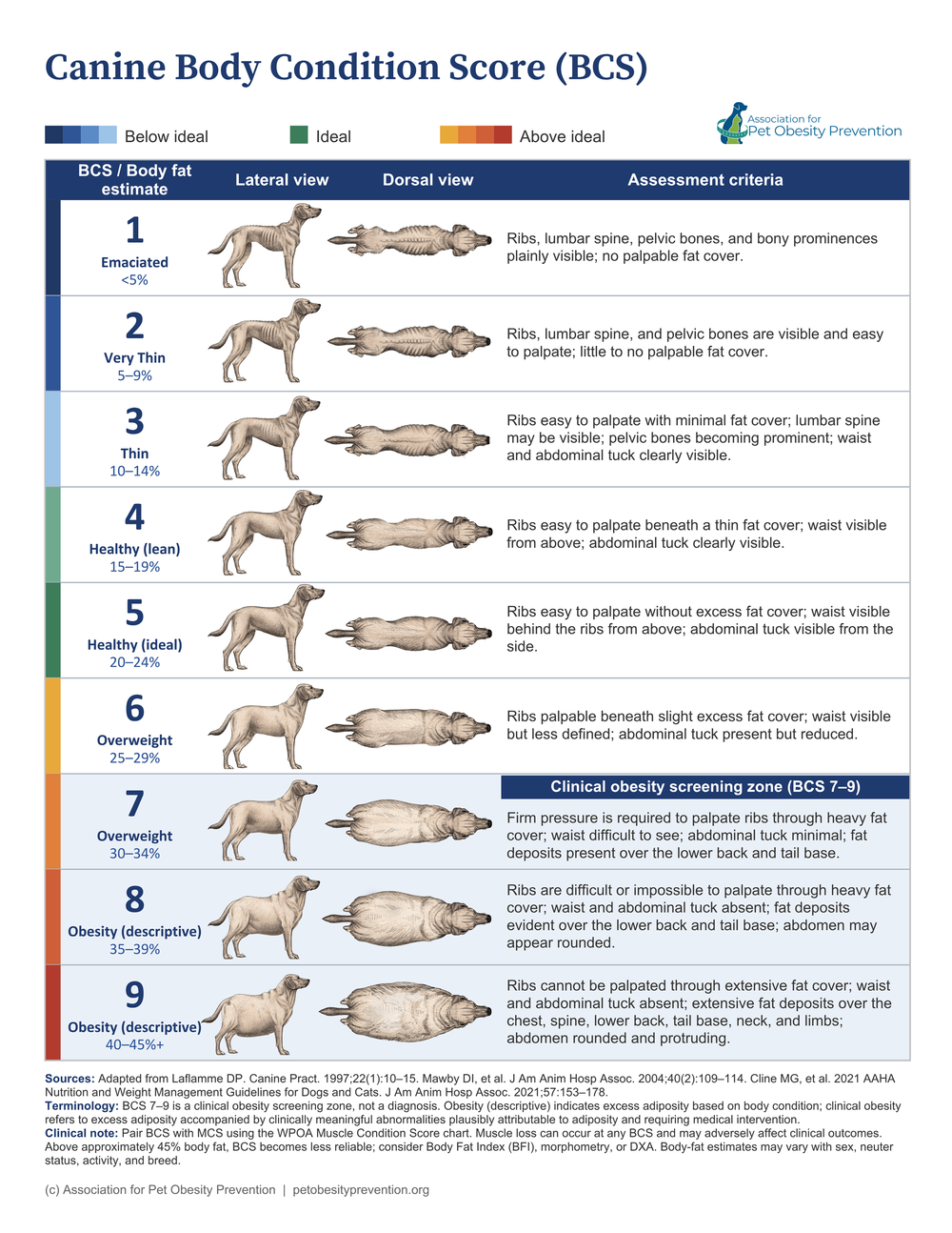 APOP nine-point clinical body condition score chart for dogs