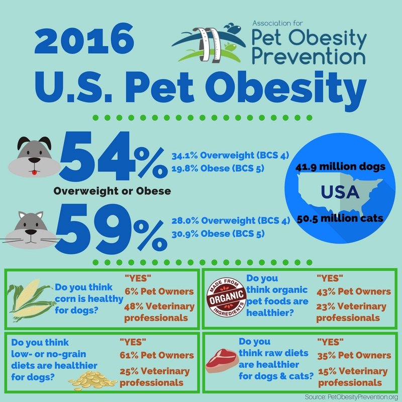 2016+U.S.+Pet+Obesity+Infographic.jpg