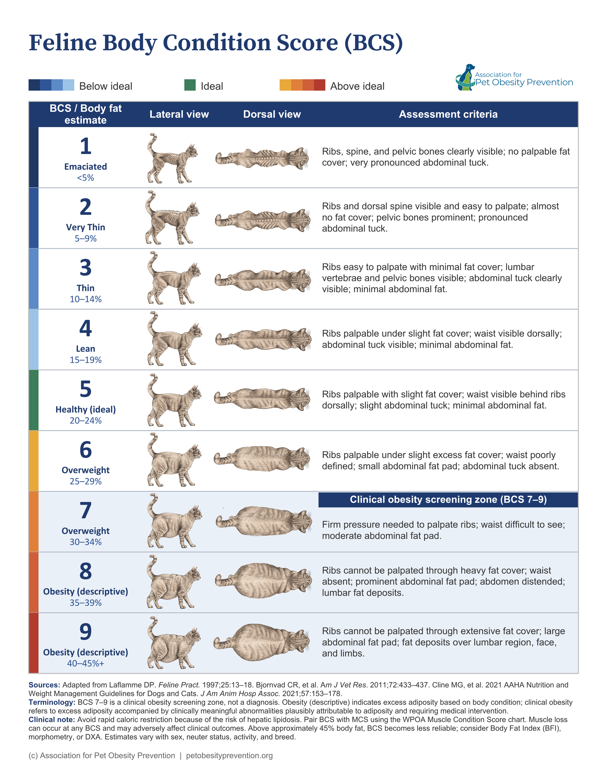 Chart illustrating feline body condition scores from 1 to 9, ranging from emaciated to obese, with descriptions and illustrations of each score's physical characteristics.