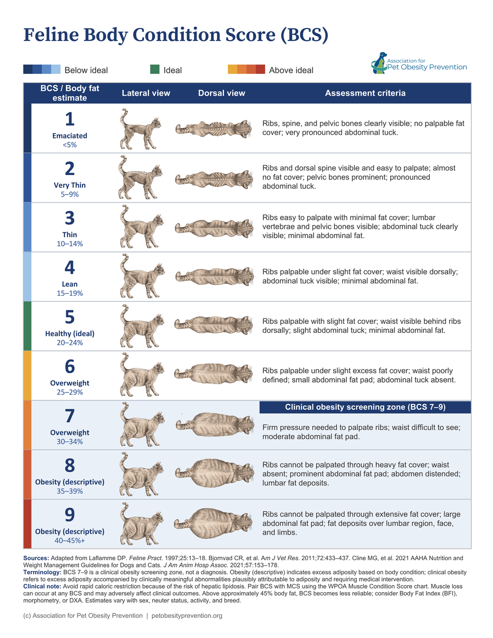 APOP nine-point clinical body condition score chart for cats