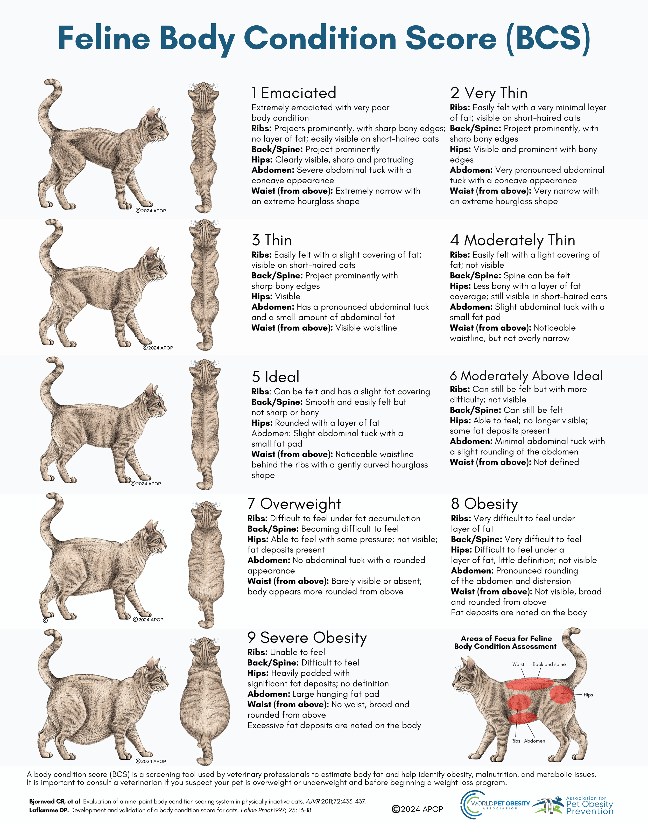 Body Condition Score (BCS) Charts for Dogs, Cats, Rabbits & Horses ...