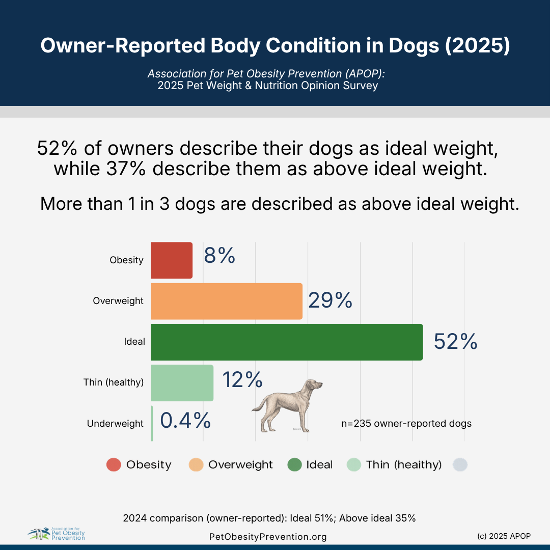 Bar chart showing owner-reported body condition in dogs in 2025, with categories obesity (8%), overweight (29%), ideal (52%), thin healthy (12%), and underweight (0.4%). The chart cites a survey by APOP and notes more than one-third of dogs are above ideal weight.