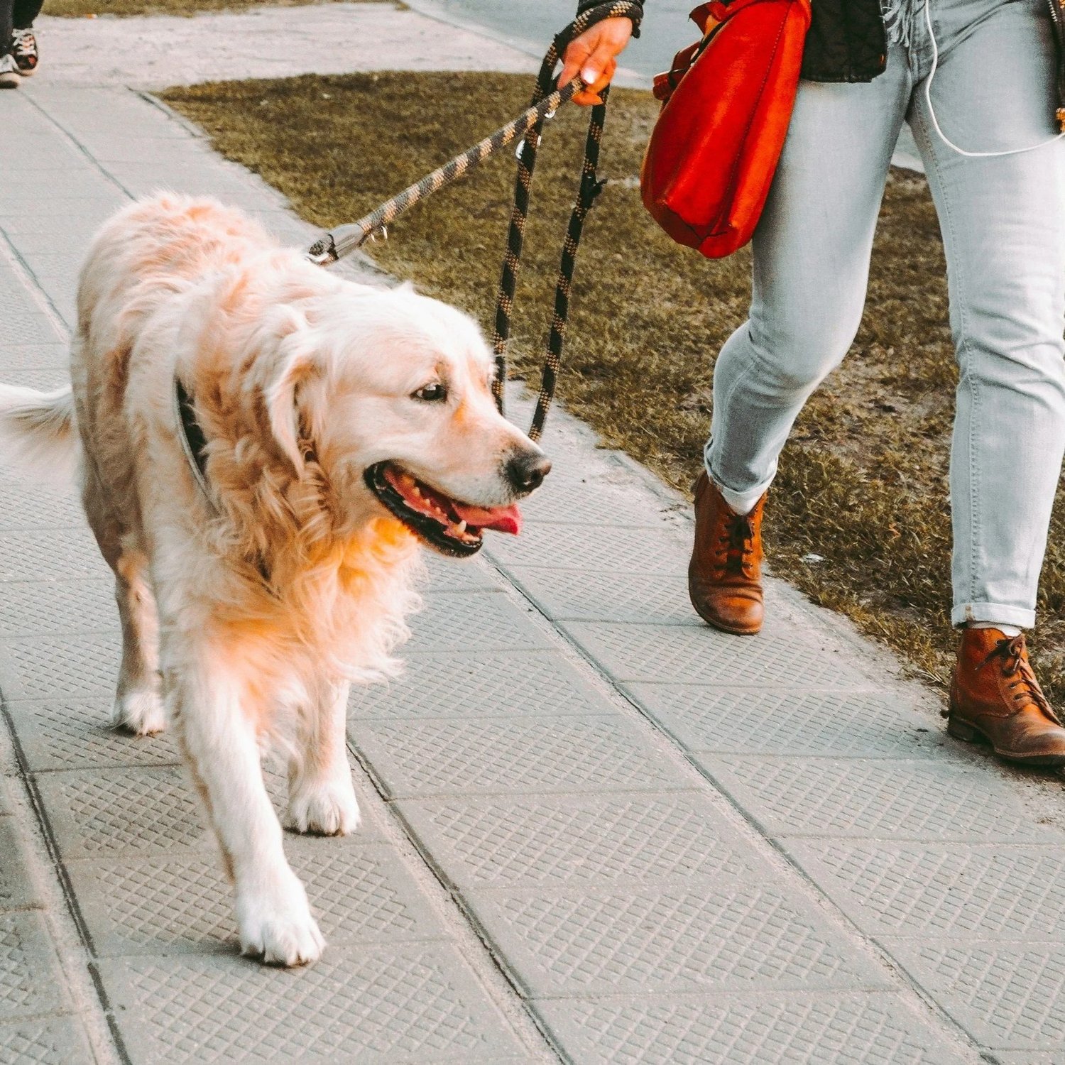 A person walking a dog on a leash at a brisk pace outdoors