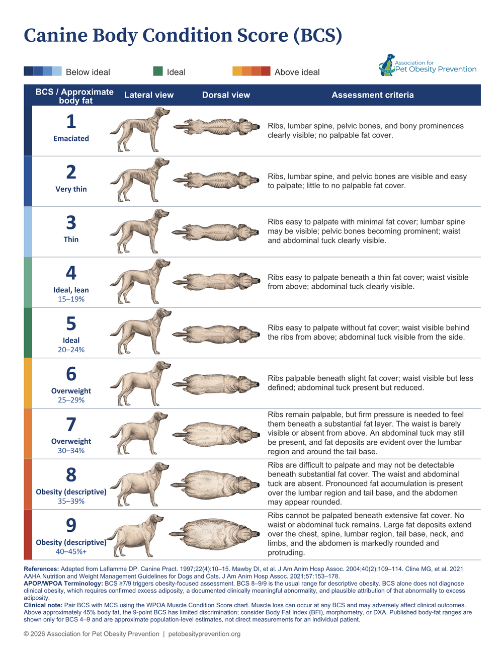 APOP nine-point clinical body condition score chart for dogs