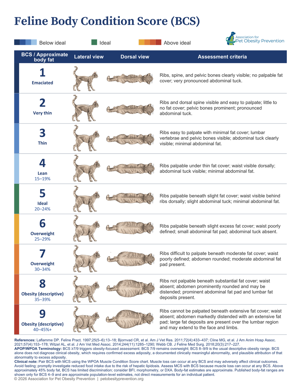 APOP nine-point clinical body condition score chart for cats
