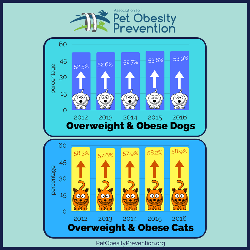 2012-2016+pet+obesity.png