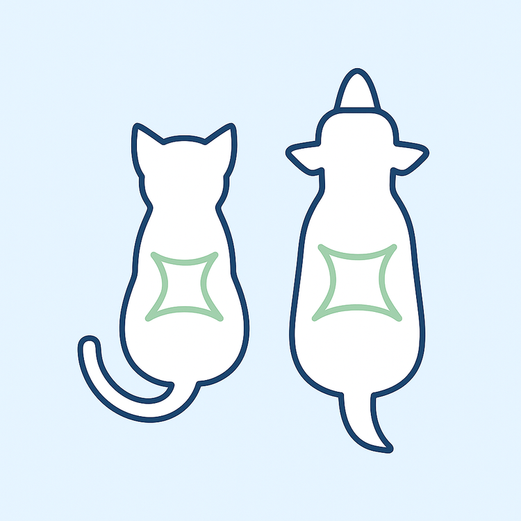 Overhead silhouettes of a cat and dog showing an hourglass waist behind the ribs