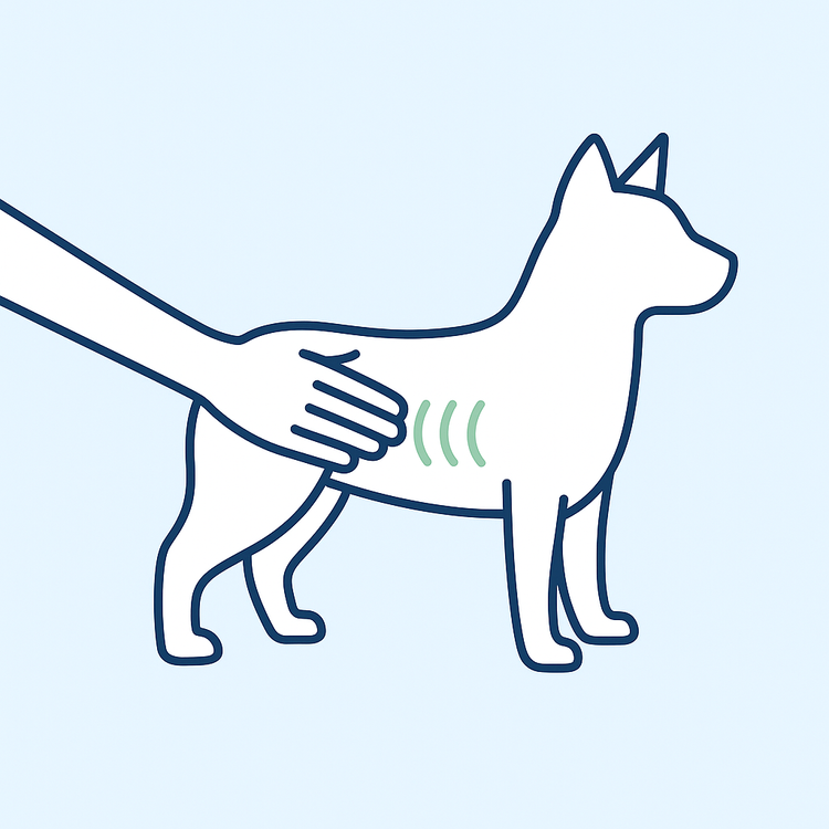A hand pressing lightly along a dog's ribcage to feel for ribs under the fat layer