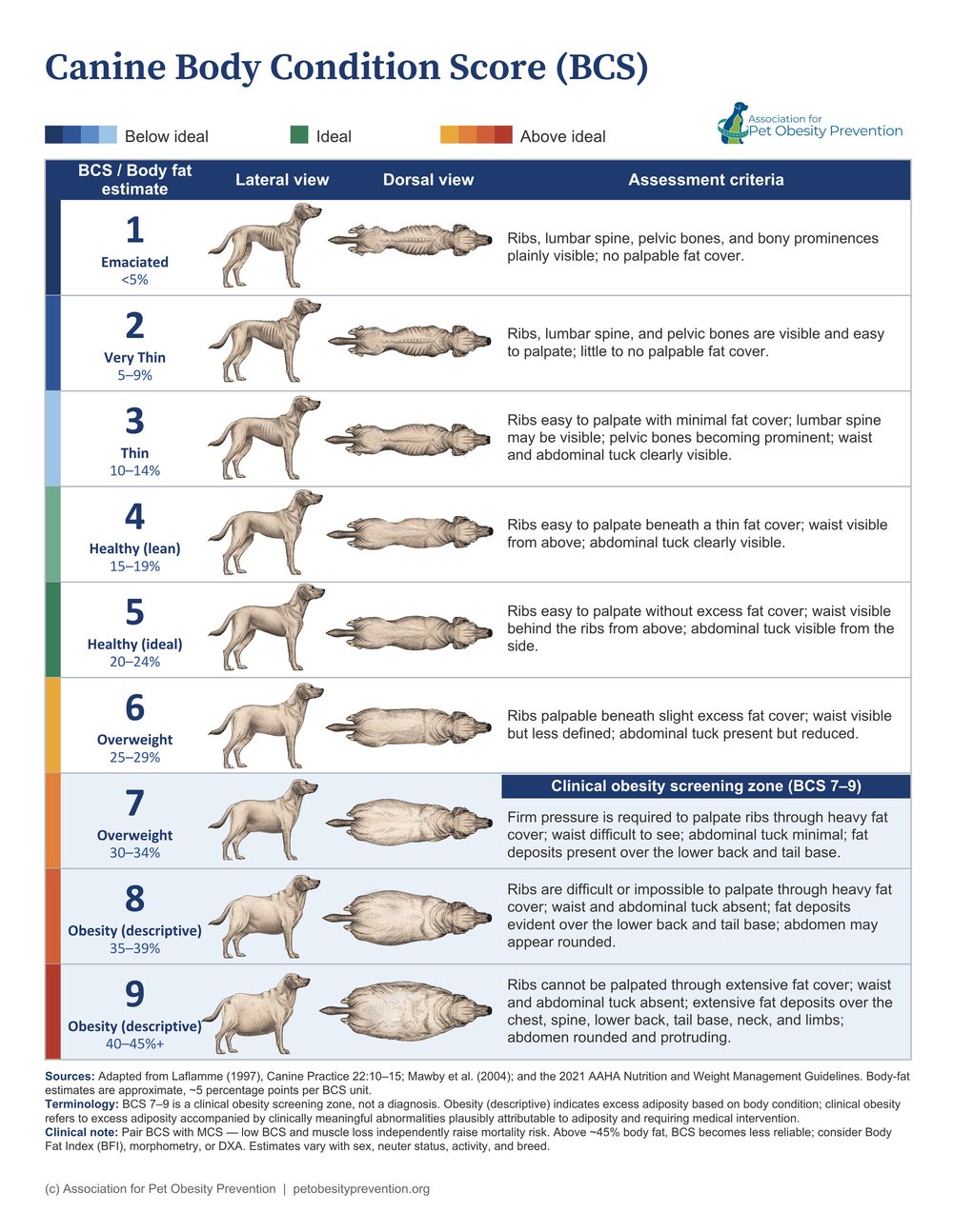 Dog full clinical body condition chart