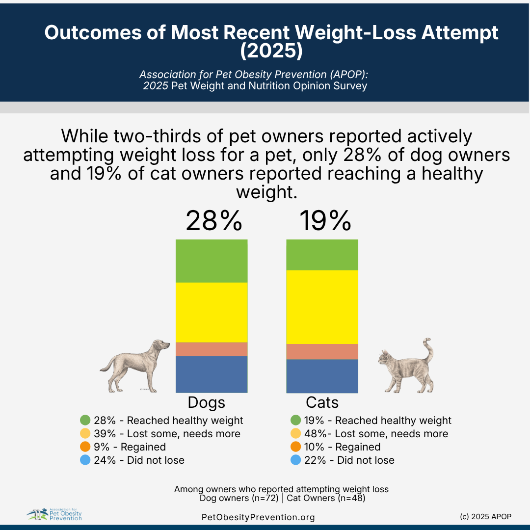 Chart showing outcomes of recent pet weight-loss attempts in 2025, with data on dogs and cats. Dogs: 28% reached healthy weight, 39% lost some but need more, 9% regained, 24% did not lose. Cats: 19% reached healthy weight, 48% lost some but need more, 10% regained, 22% did not lose.