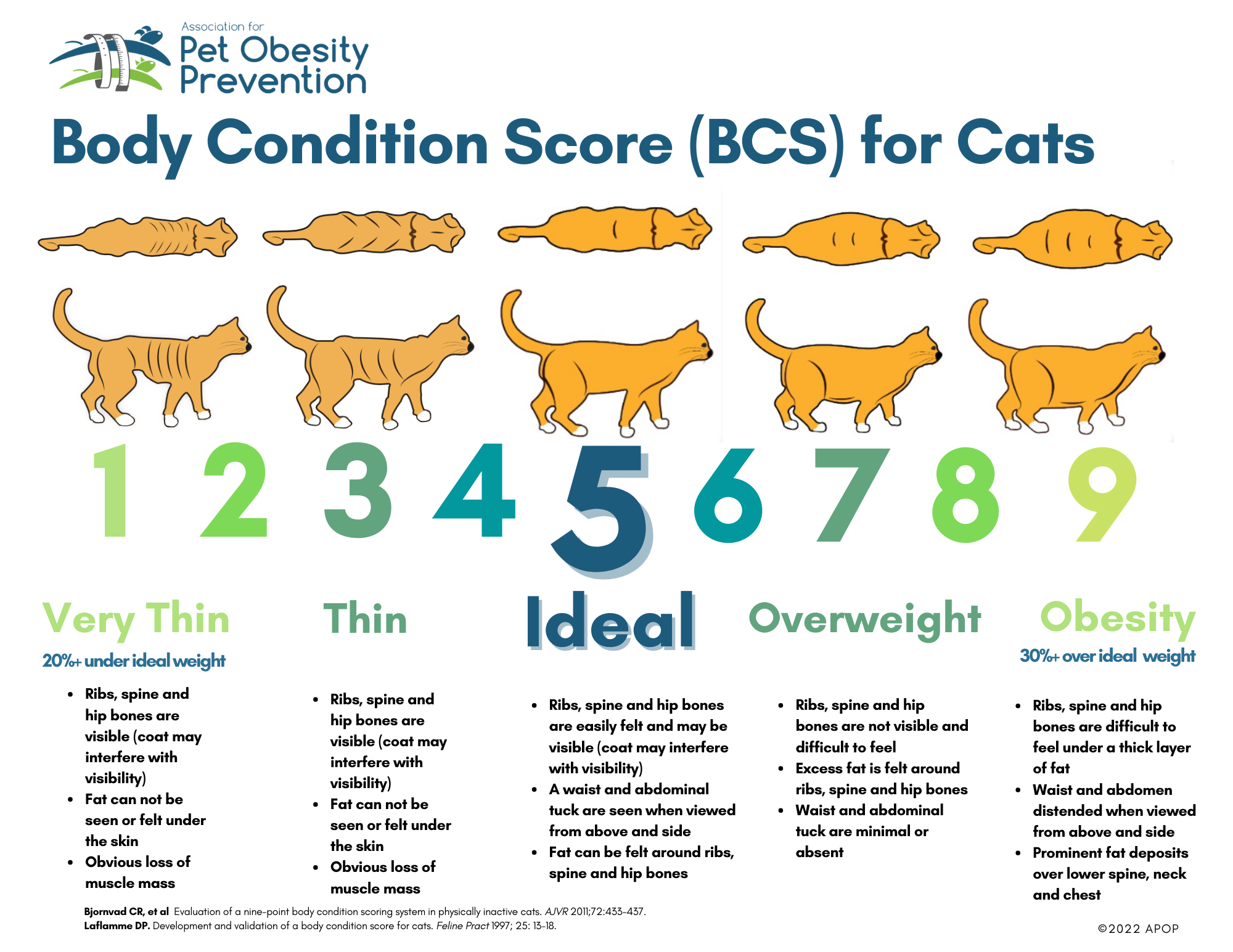 Pet Body Condition Scoring — Association for Pet Obesity Prevention