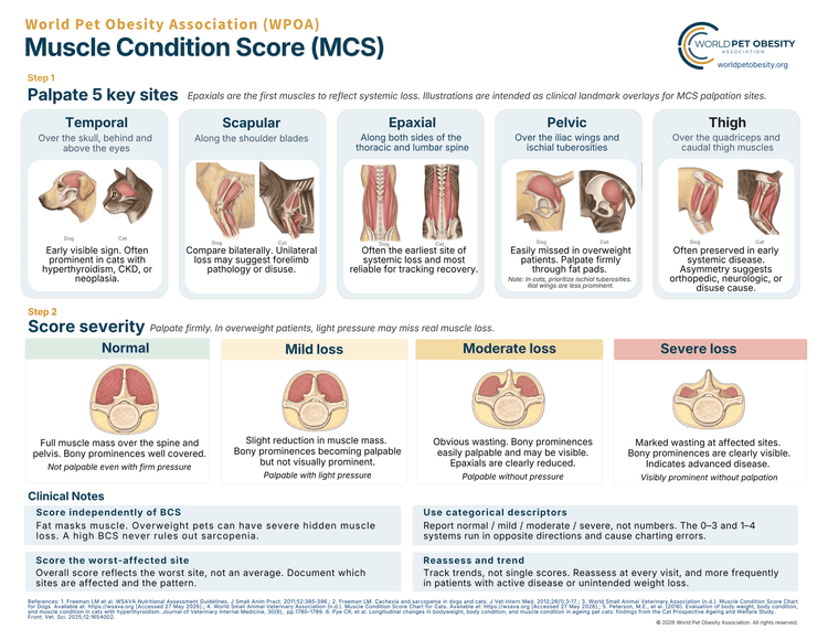 Dog and Cat Muscle Condition Score chart preview