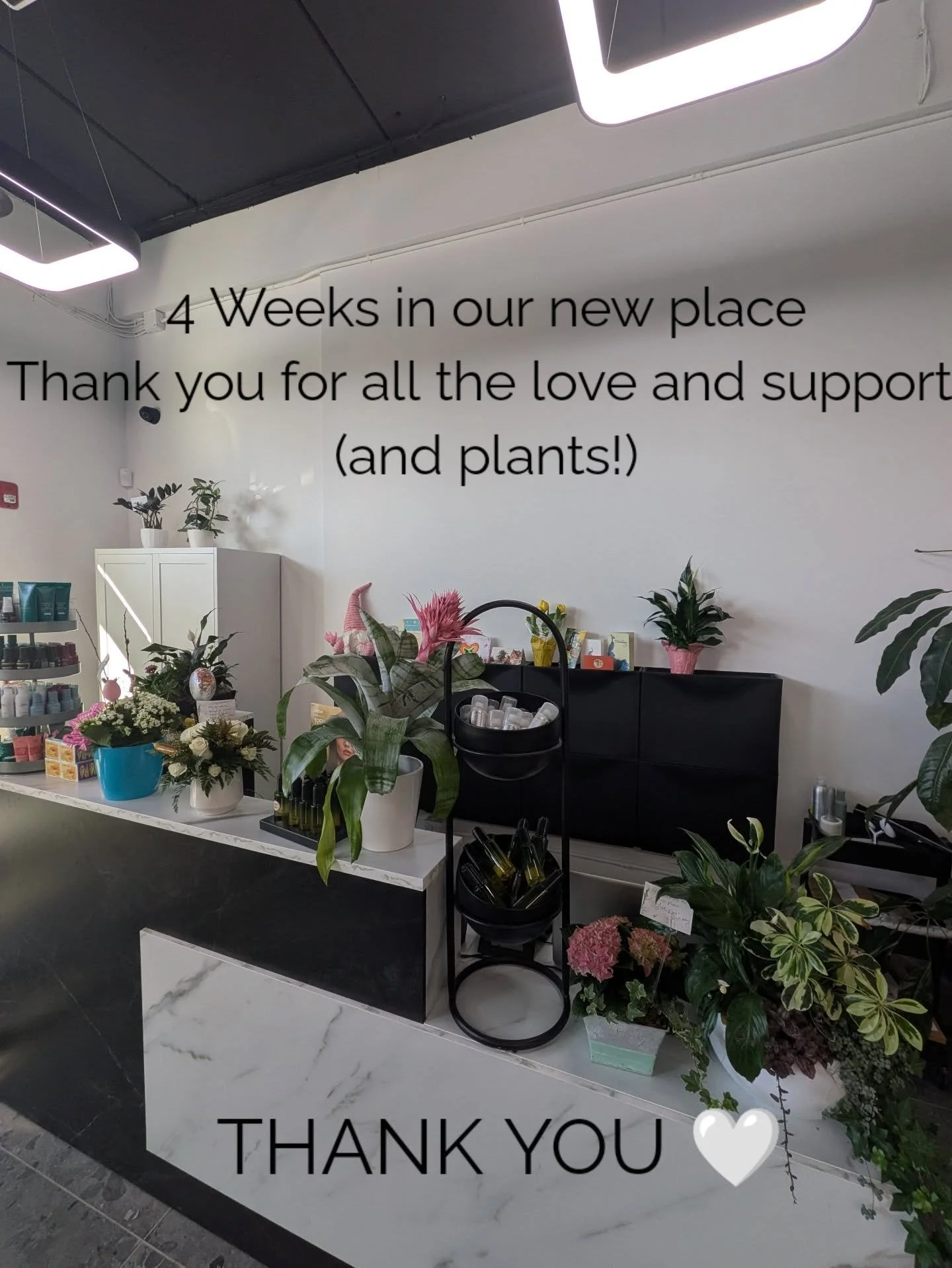 One month down, many to go...