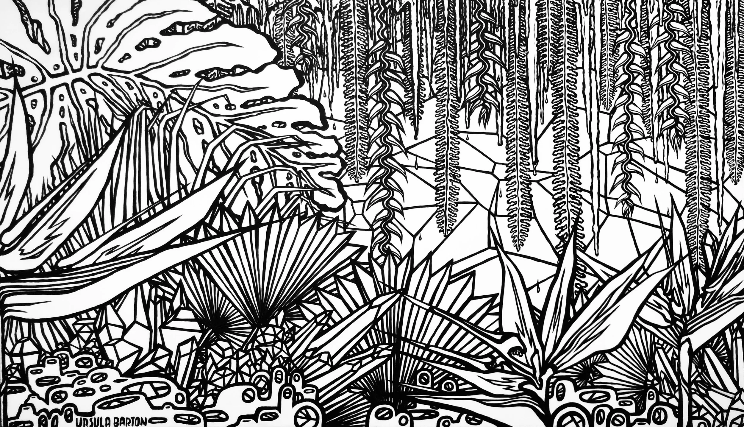squarespace-coloringbook-mural-ursulabarton.jpg