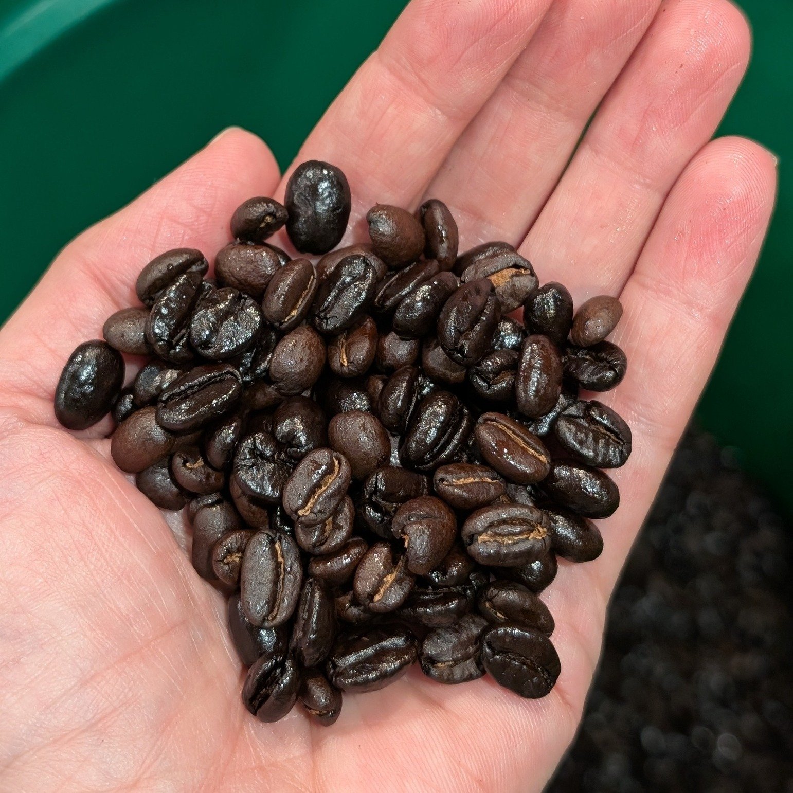 Our roasters have been running nonstop; here's a sampling of our latest batch of Valley Espresso. The mix between our Guatemalan and Ethiopian beans makes that perfect shot of espresso or amazing cup of coffee. 😉

➡ Check it out: jockeystreetcoffee.