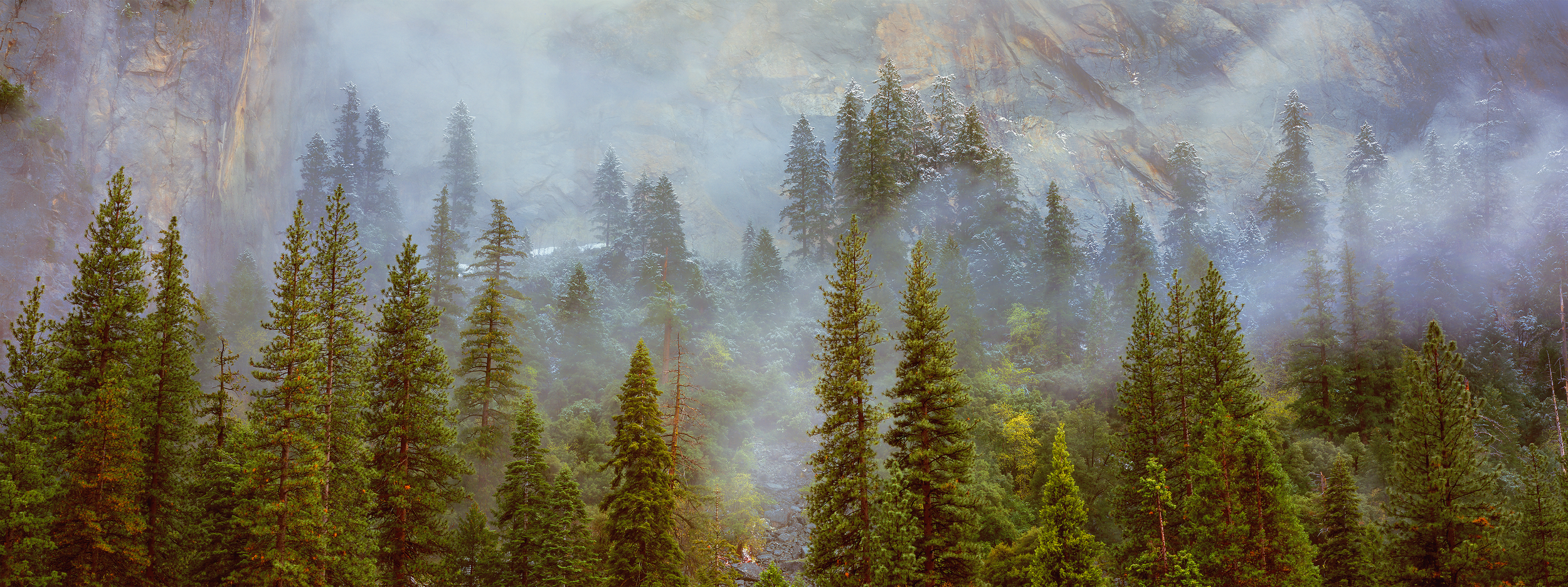 Rodney Lough Jr. Wilderness Collections Gallery