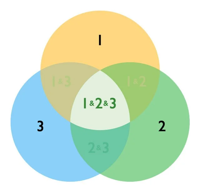 venndiagram.jpg