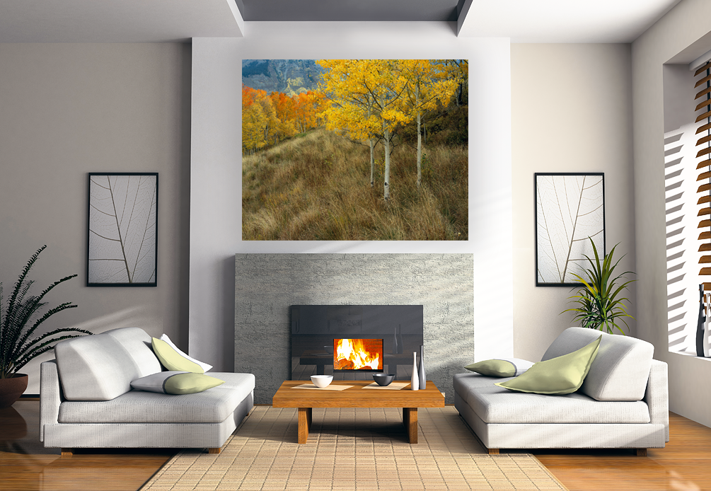 Aspen Hillside_SS_Room_Settings_Fireplace1.png