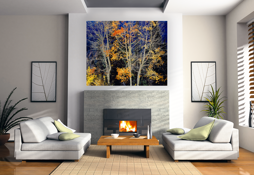 Silver Aspens_SS_Room_Settings_Fireplace1.png