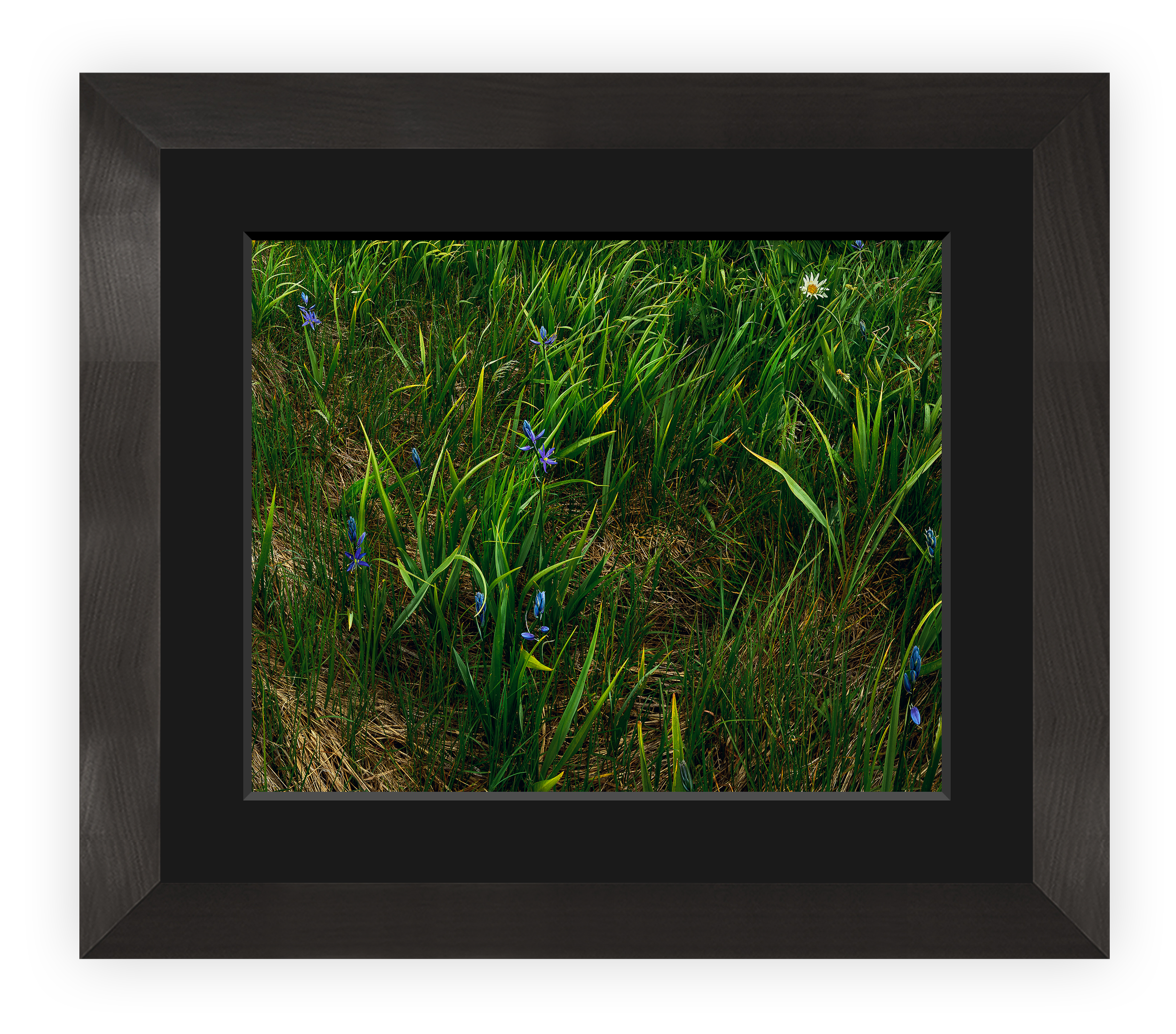 Springtime Simplicity_SS_DT_Main BLACK.png