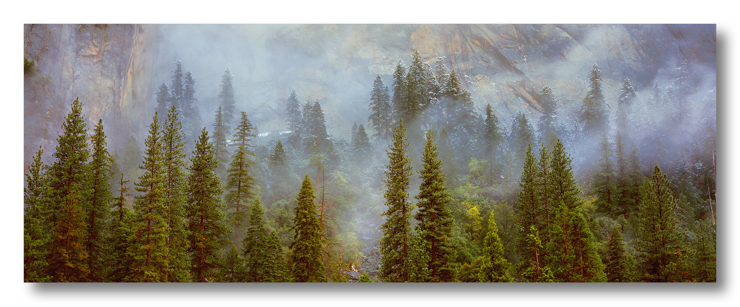 Vista Mount (P) - Appreciation Level I - Trees of the Mist