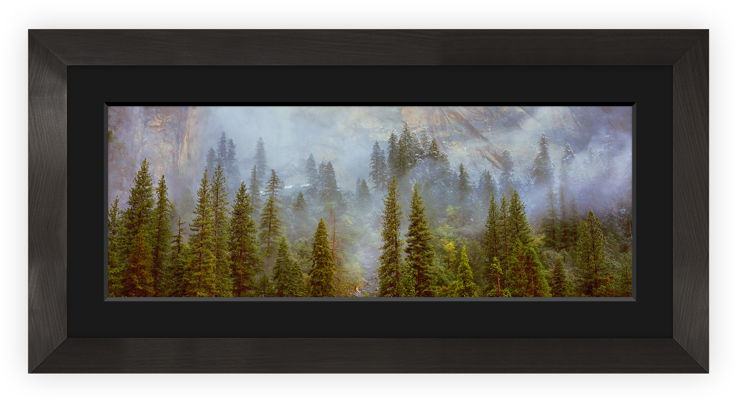 Trees of the Mist_SS_DT_Main.png