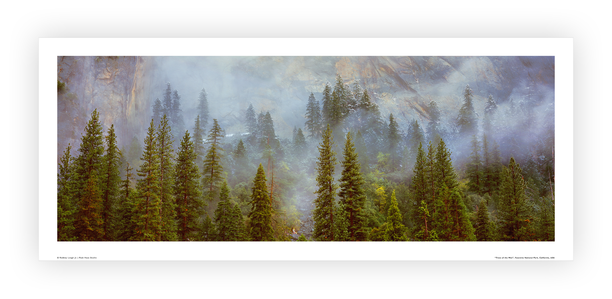 Loose LE (P) - Appreciation Level I - Trees of the Mist