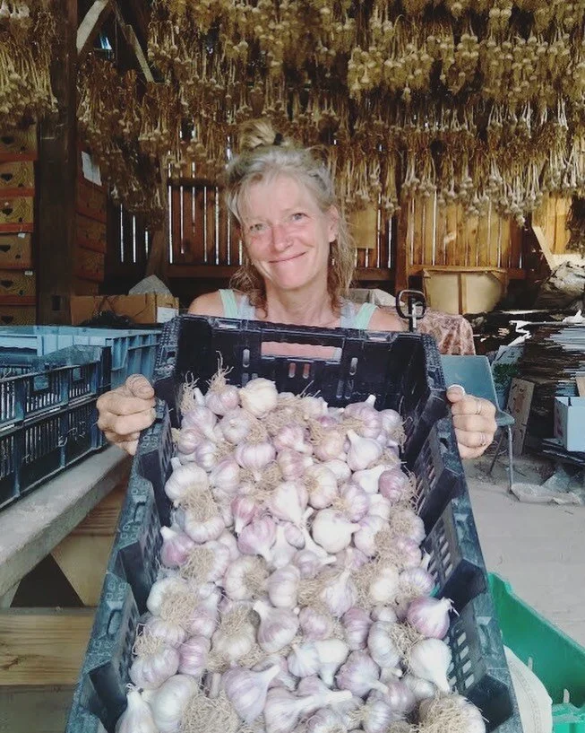 👩&zwj;🌾Meet a Farmer Monday👩&zwj;🌾

Meet Wren! 🧄🌞🌱🐞

After working our markets in DC for eight years while still living outside of Frederick, MD (and gardening by the seat of her pants), Wren decided she had to learn how it all worked on the 