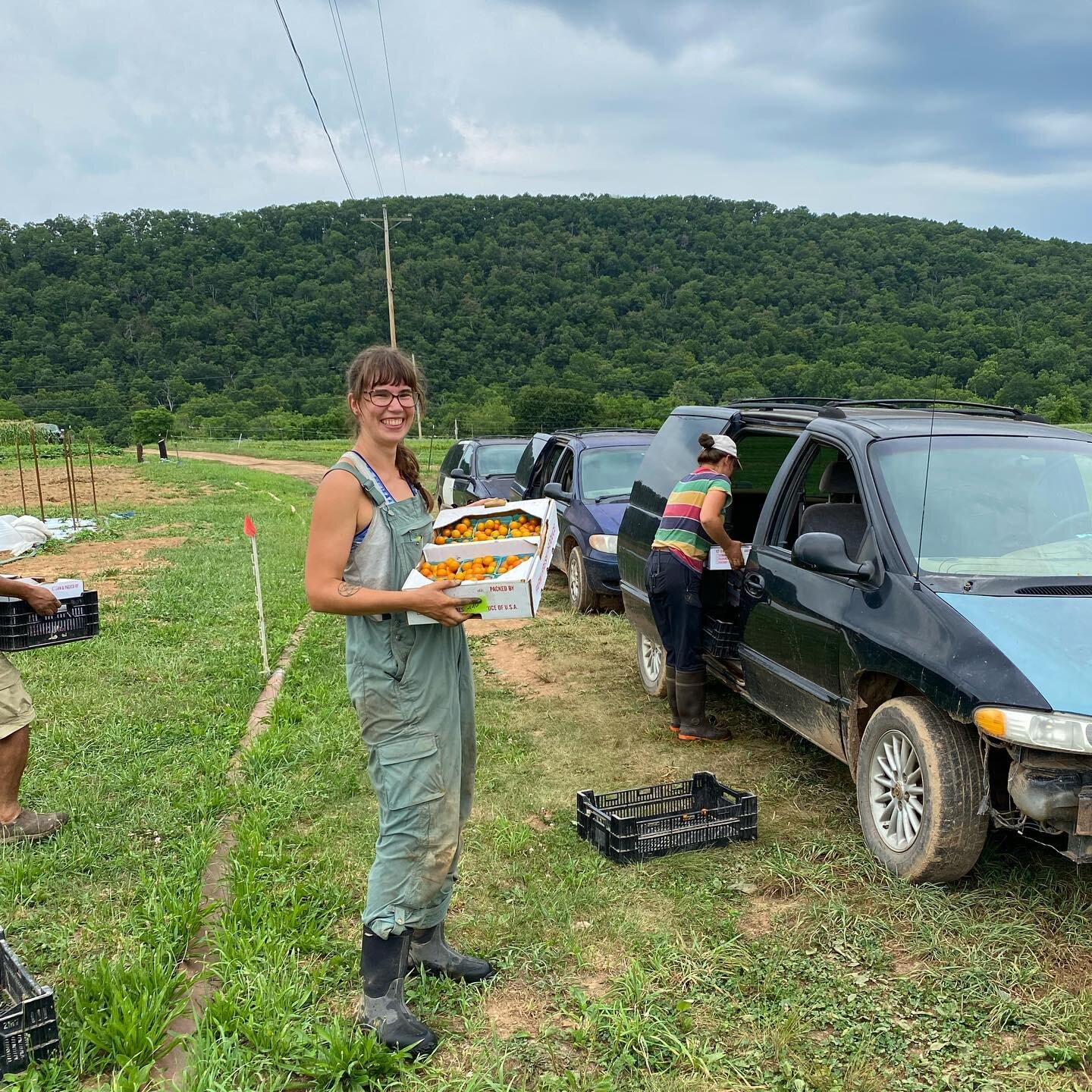 Farewell Farmer Ella! 👩🏻&zwj;🌾🚛🪵🫐🥨🥦

aka Ella Bella aka SunGold Mama aka Pretzellla aka Chevy Chase Manager.

It&rsquo;s Ella&rsquo;s last day here on the farm. We don&rsquo;t have an official count but she probably holds the record for amoun