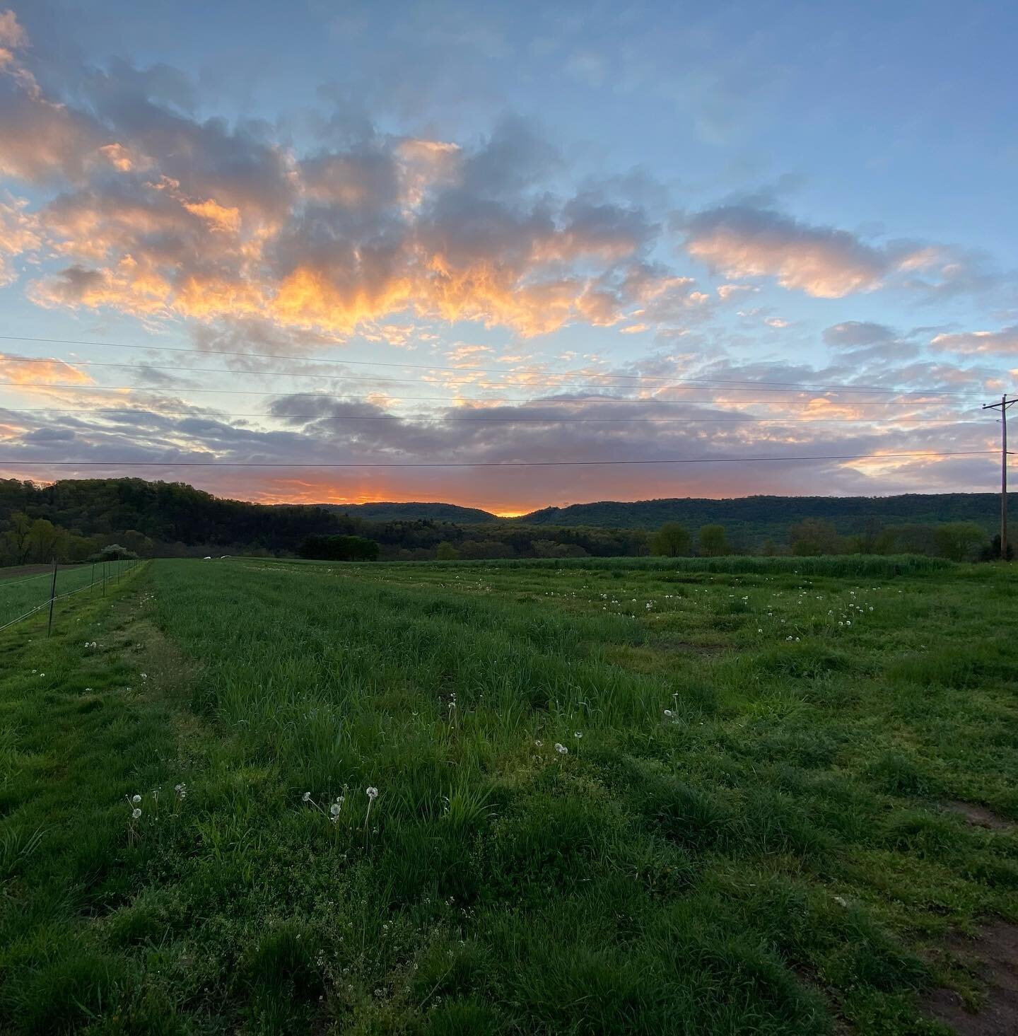 May welcomed us with a beautiful sunrise this morning. Happy May, happy day!!