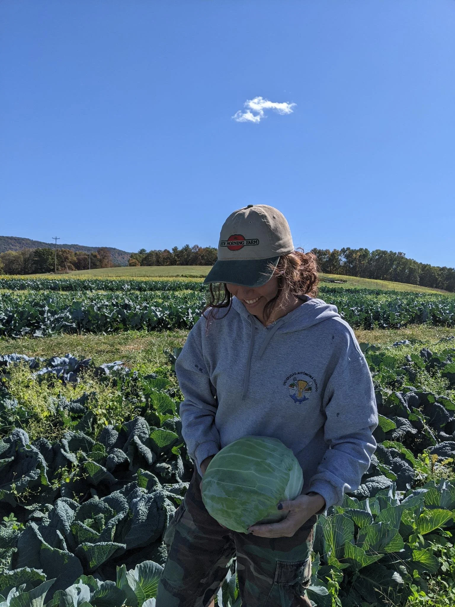 Sophie holding a cabbage in the field and smiling
