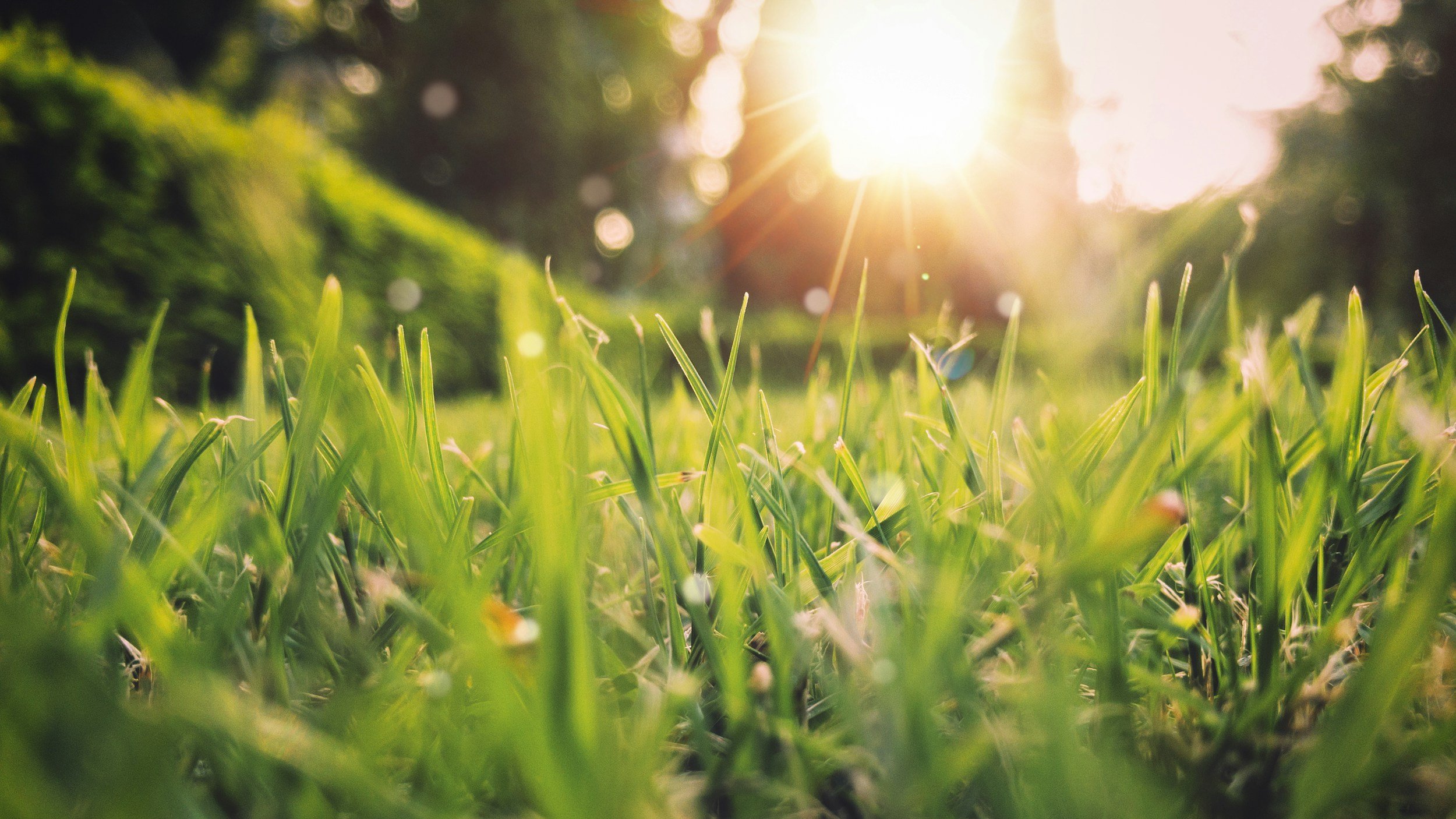 Embracing Spring: Nurturing Your Mental Health This Season 