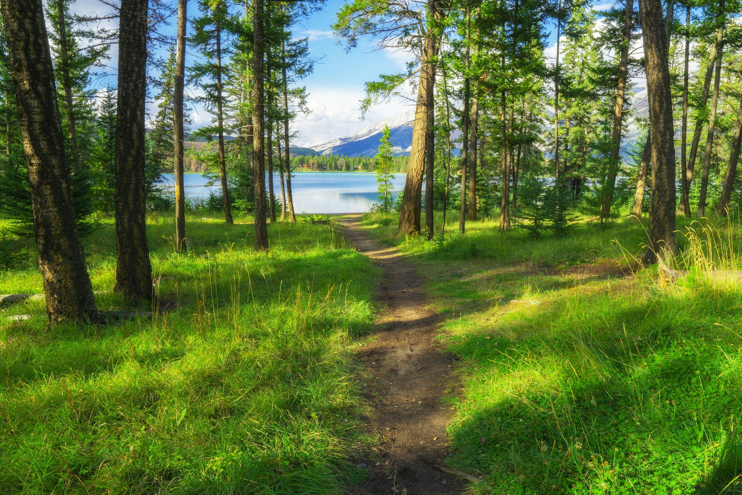 Walking in Nature: A Path to Processing Emotions and Healing